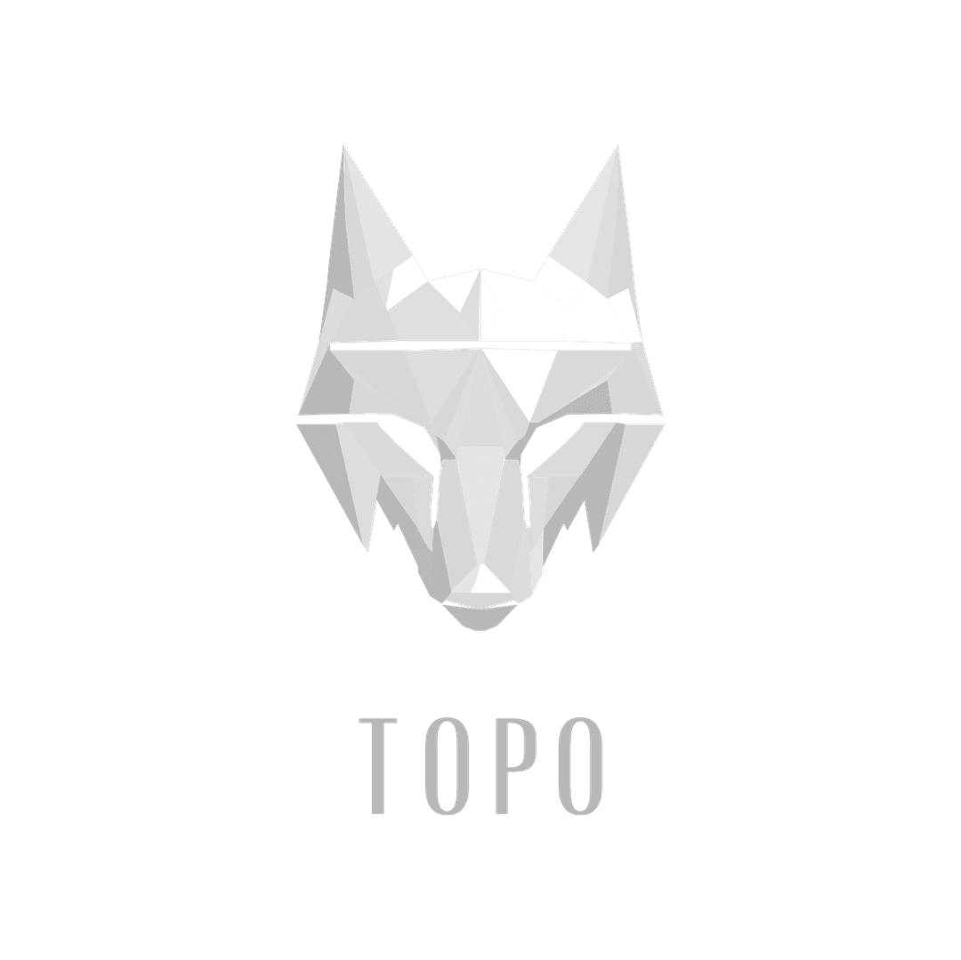 Logo TOPO