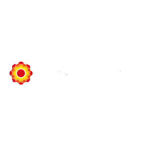 Logo Mega Moda